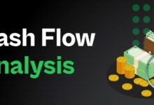 Cash Flow Analysis