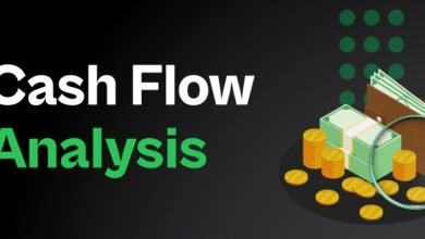 Cash Flow Analysis